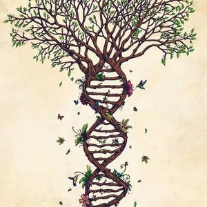 Meet your Posher, Derick